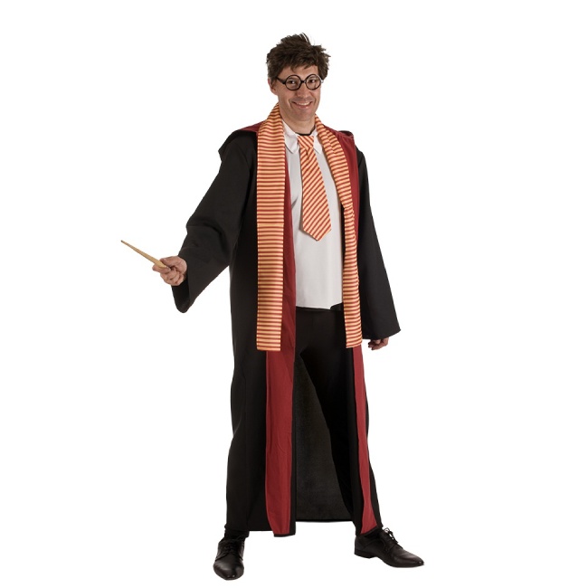 Costume d'apprenti magicien pour homme par 29,95 €