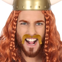Moustache viking