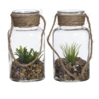 Plante artificielle dans une bouteille en verre assortie 6,5 x 12,5 cm