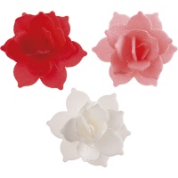 Mini nénuphars comestibles rouges, roses et blancs de 4,5 cm - 8 unités