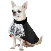 Costume de vampire comte pour chien