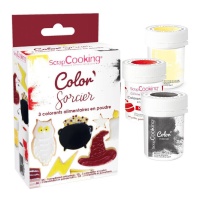 Kit de coloration décorative en poudre Wizard Harry's 15g - Scrapcooking - 3 unités