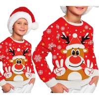 Jerseys de rennes de Noël pour enfants